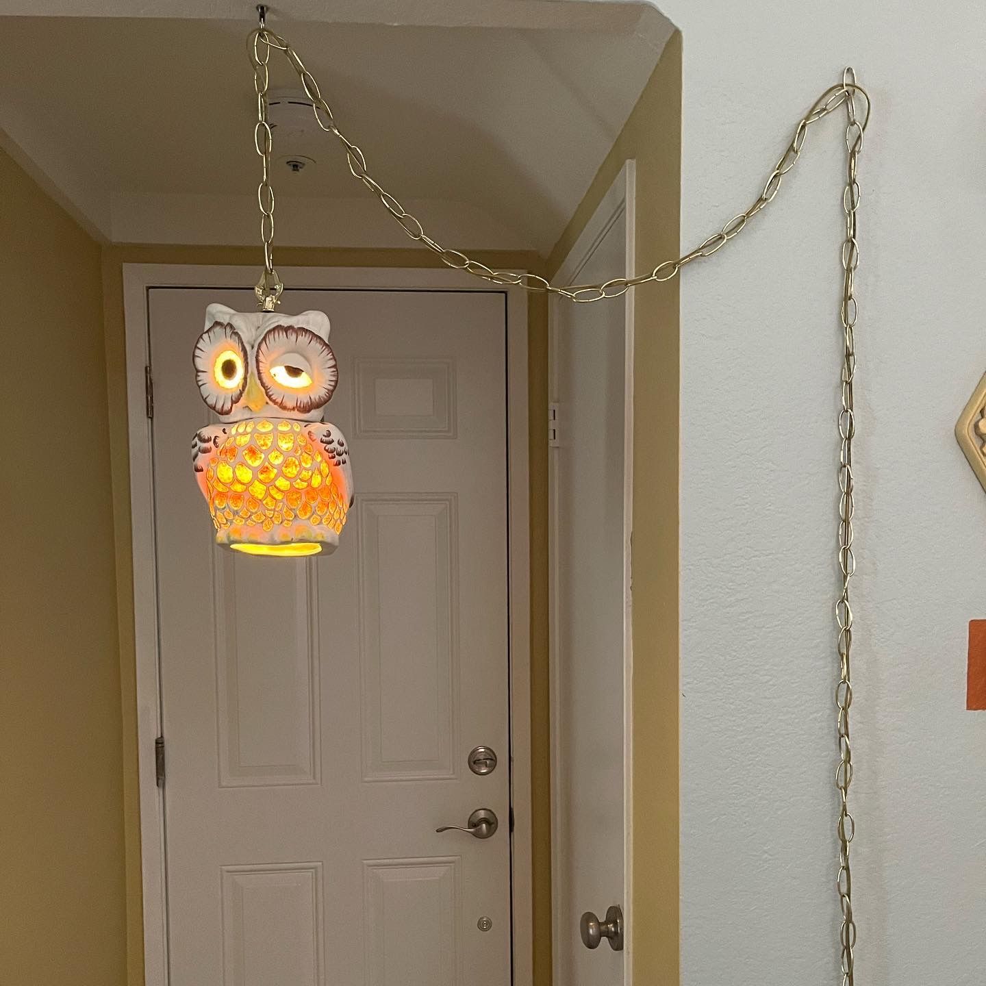 ***PENDING SALE***Vintage Mid Century Modern Pottery Lucite Owl Hanging Swag Lamp