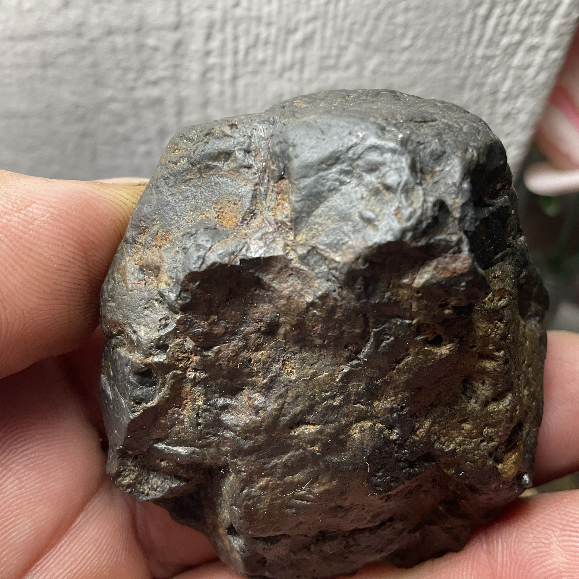 312 Grammies Meteroite