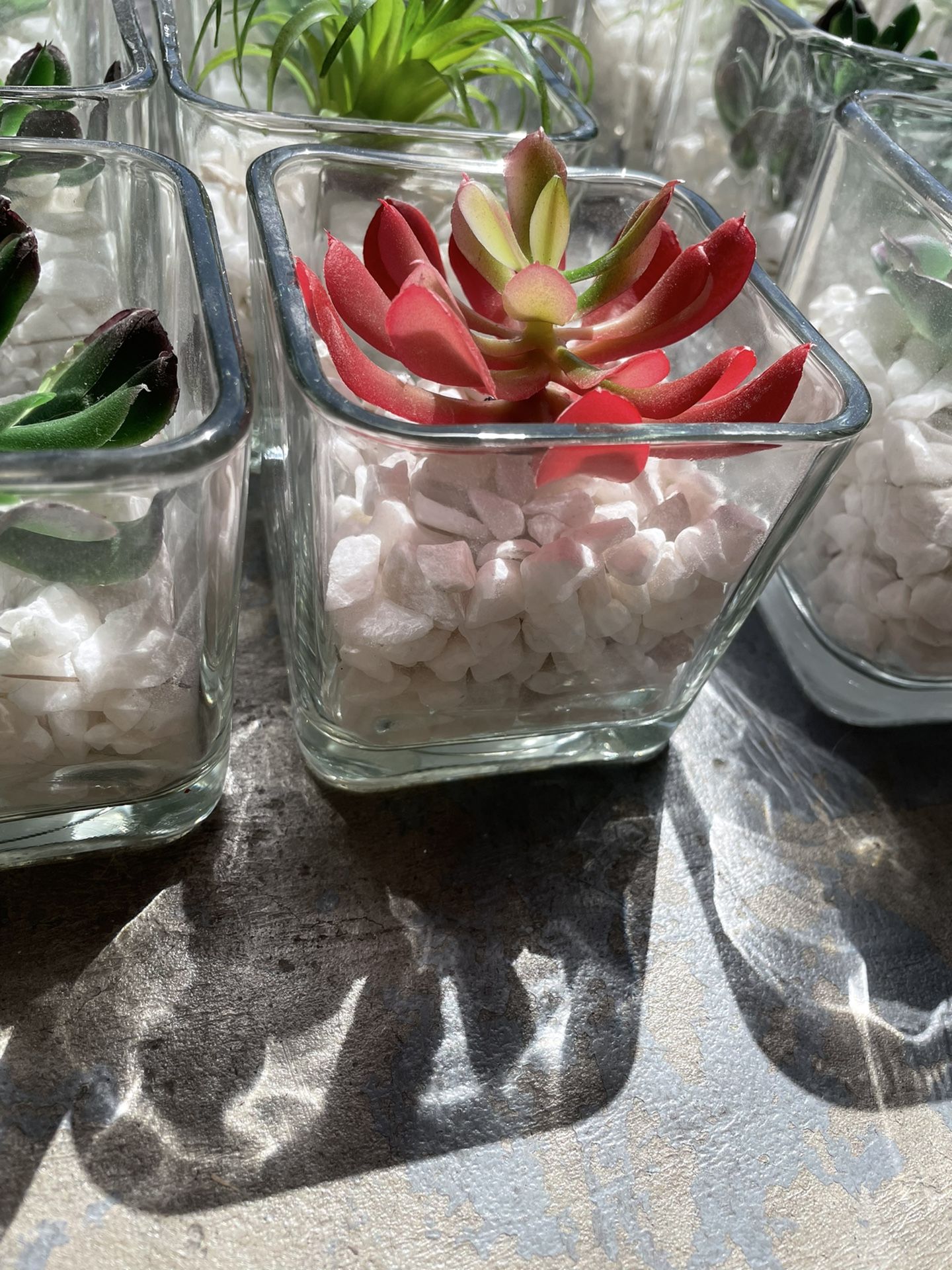 Faux Succulent Centerpieces/decor