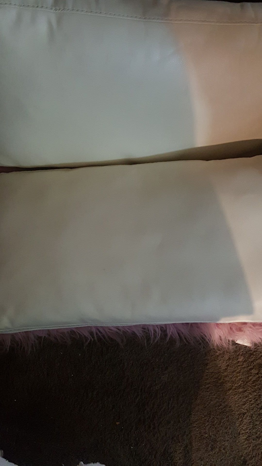 DONATED GONE TOMORROW SALVATION ARMY TRUCK COMING LAST DAY YOU TELL ME PRICE OR ITS DONATED 2 LARGE GENUINE LEATHER PILLOWS 40 this weekend only