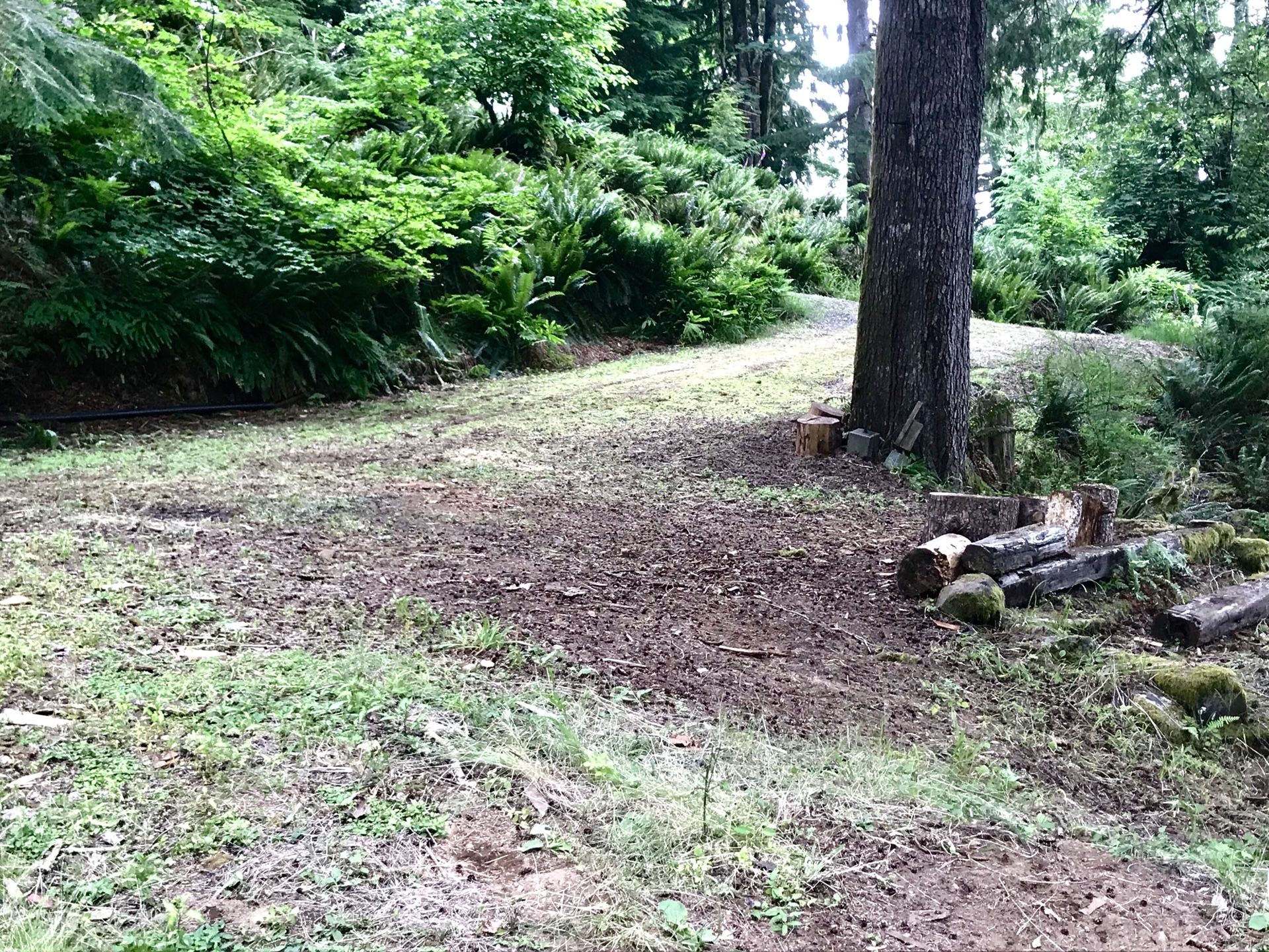 Lake Merwin Campers Hideaway Lot 4 Sale for Sale in Amboy, WA OfferUp