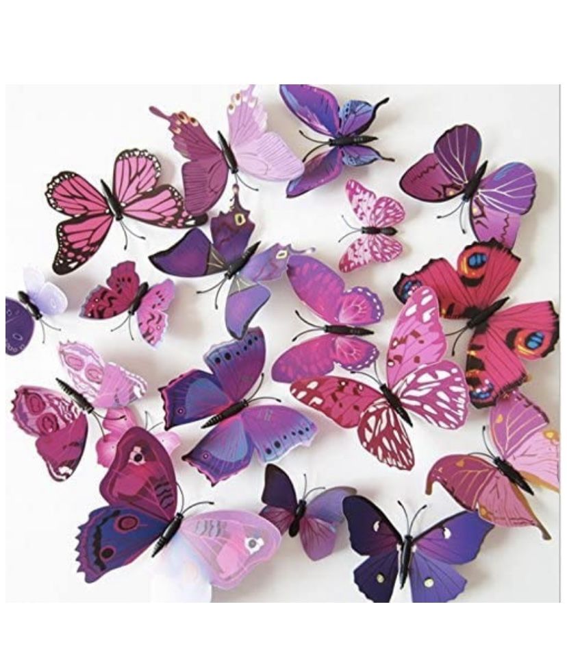 Butterflies 🦋
