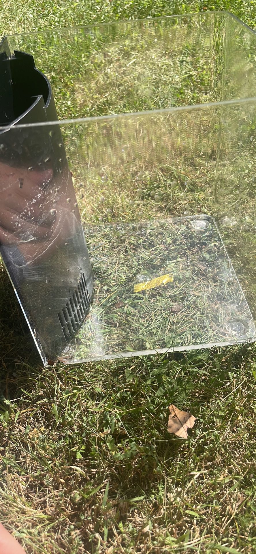 Top Fin Tank