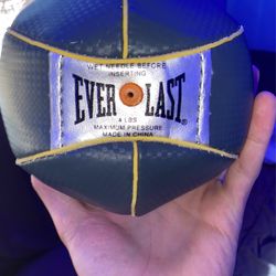 Everlast Speed Bag  Thumbnail