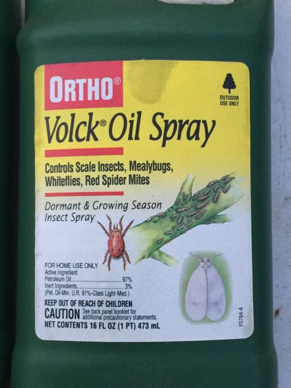 7 New Bottles Ortho Volck Oil Spray Insecticide for Sale in ...