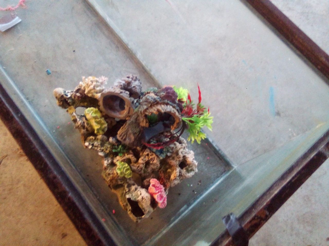 100 gallon aquarium .w)some rock and decoration