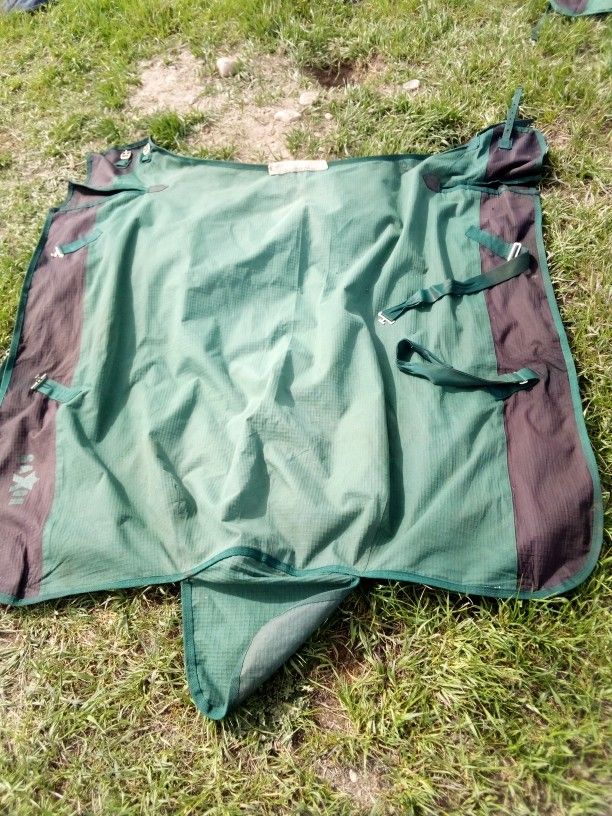 Reduced! - 3 Horse Rain Coats, 1 Horse Winter Blanket