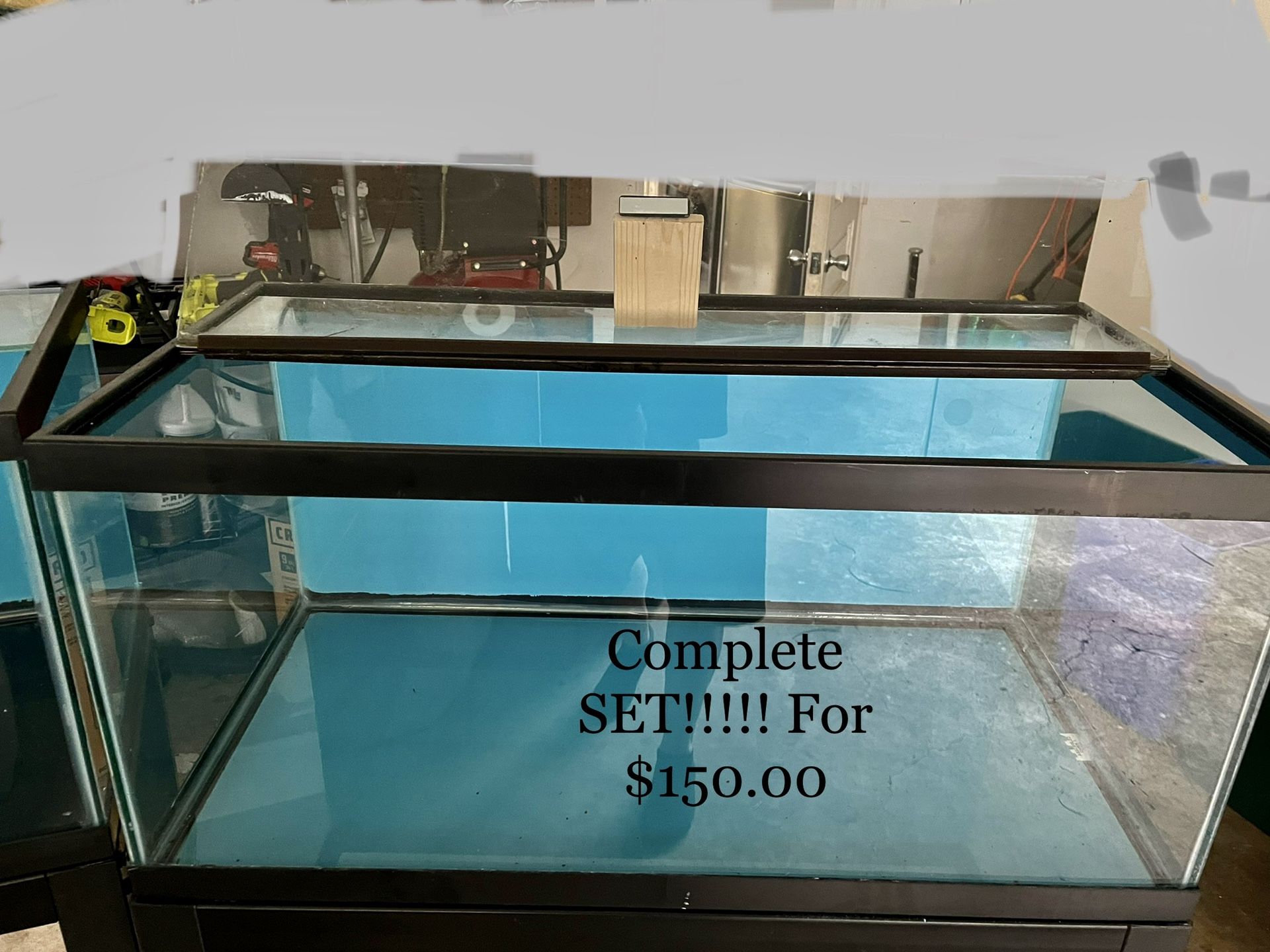 40 Gallon Tank With Self Leveling Metal Stand Lid And Lights