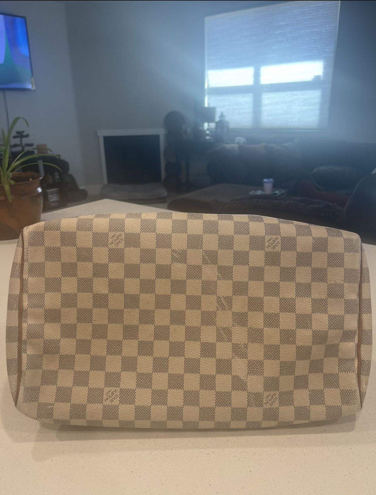 Louis Vuitton Speedy 35 Bag & Wallet