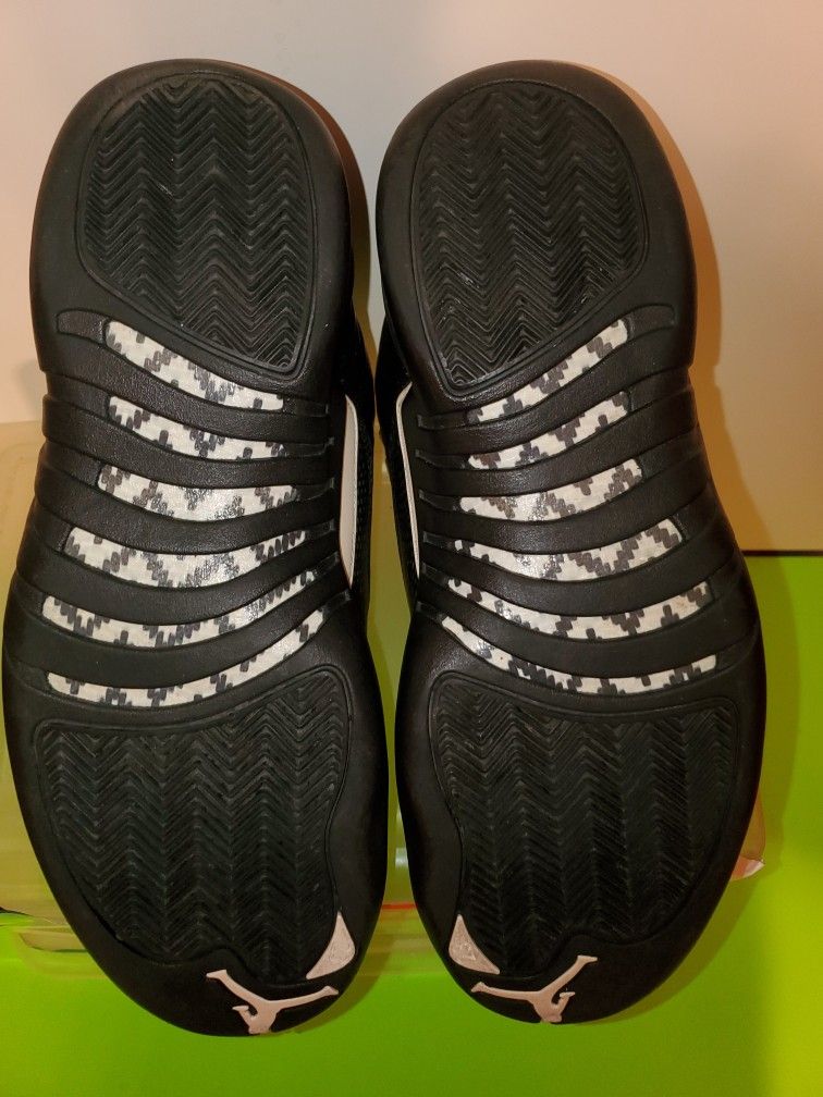 Nike Air Jordan Retro 12 The Master Edition