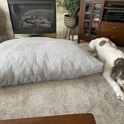 Giant-sized Dog Bed  Thumbnail