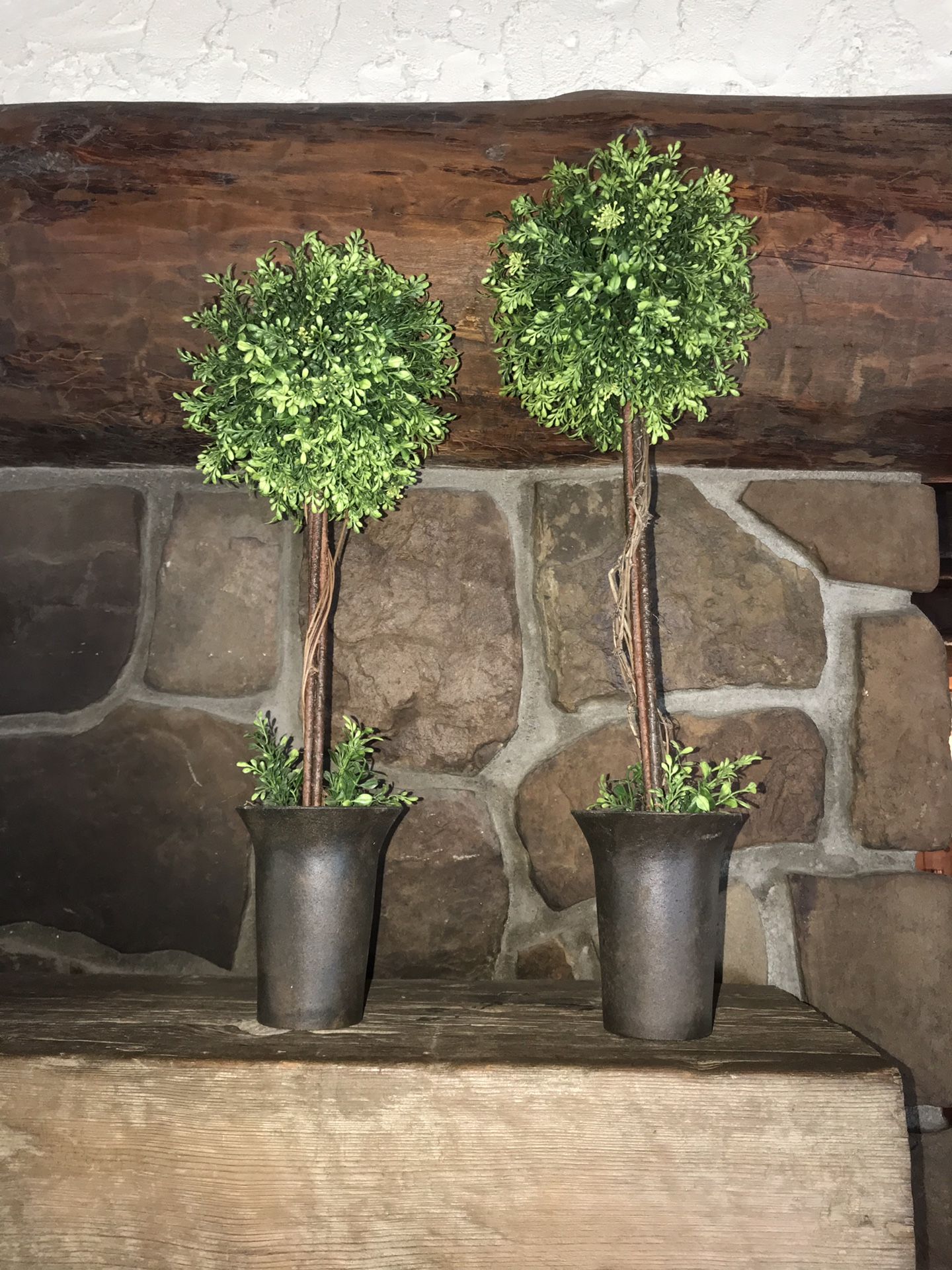 2 Topiaries