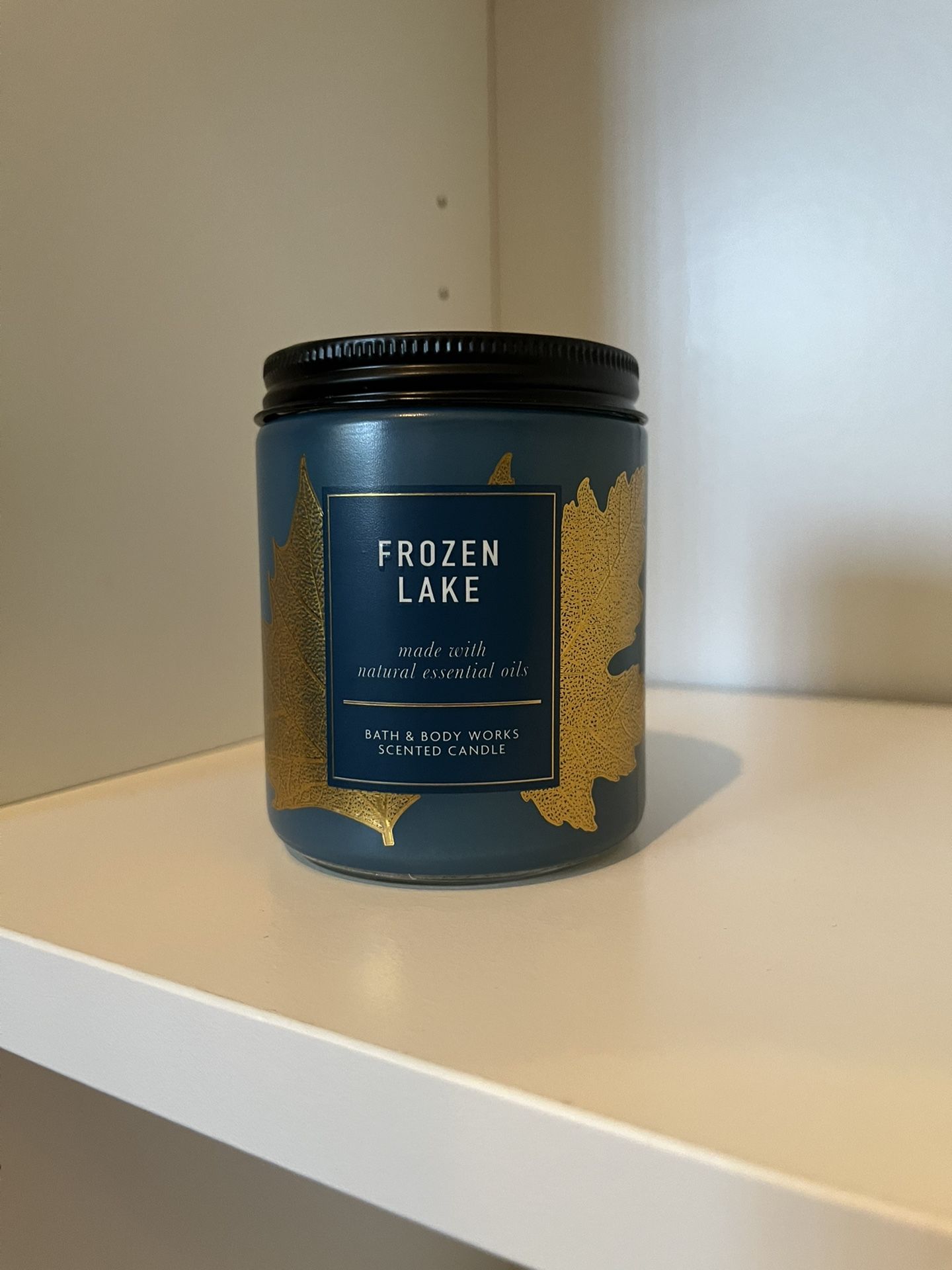 Bath and Body Works Candle (various available!)