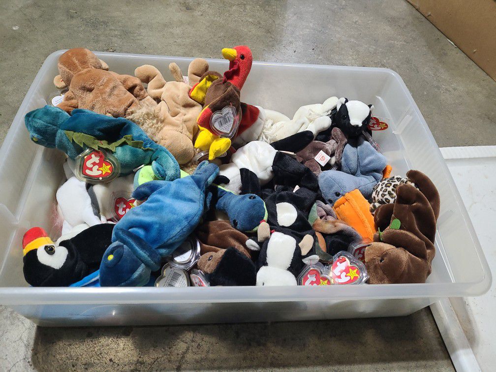 Box Of Beanie Babies. Perfect Condition Very. Rare Tag Error On Chocolate The Moose. Have 2 Of Them.  OBO