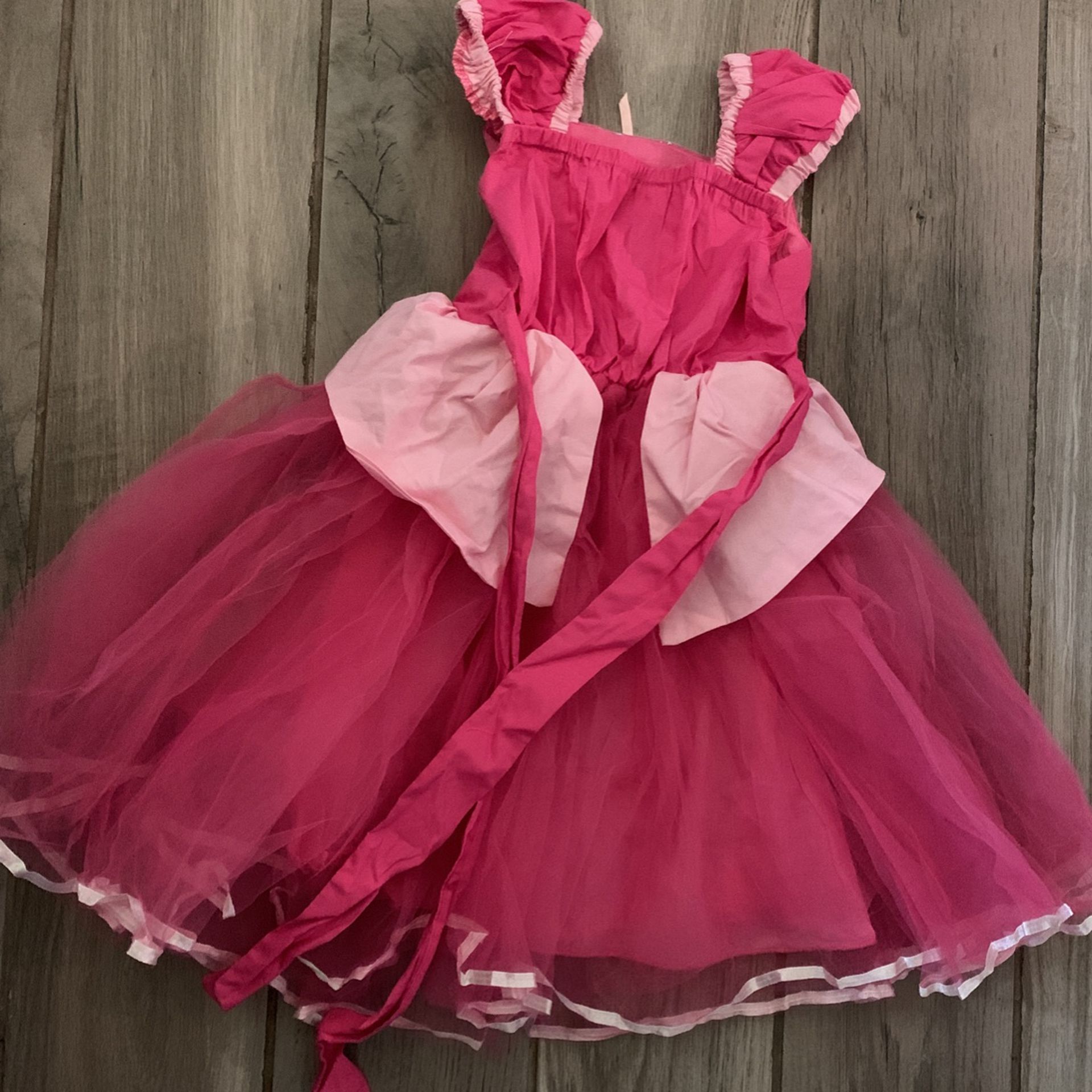 Princess Costume Dress Size 4/5T NEW