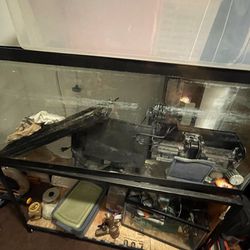 55 Gallon long Fish Tank For Sale With Stand Lights Working Filter And Heater Thumbnail