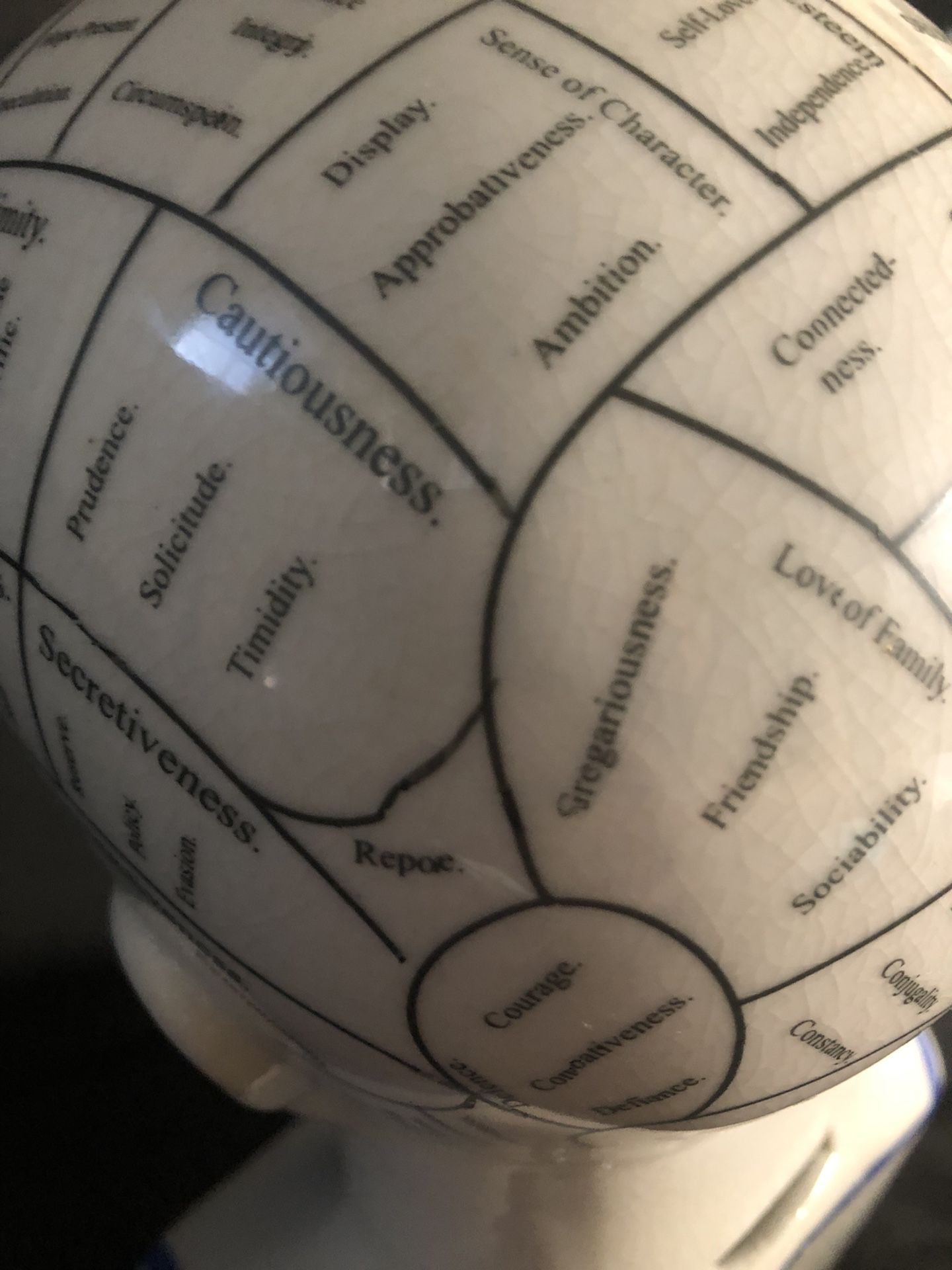 Phrenology Coin Bank Head Ceramic