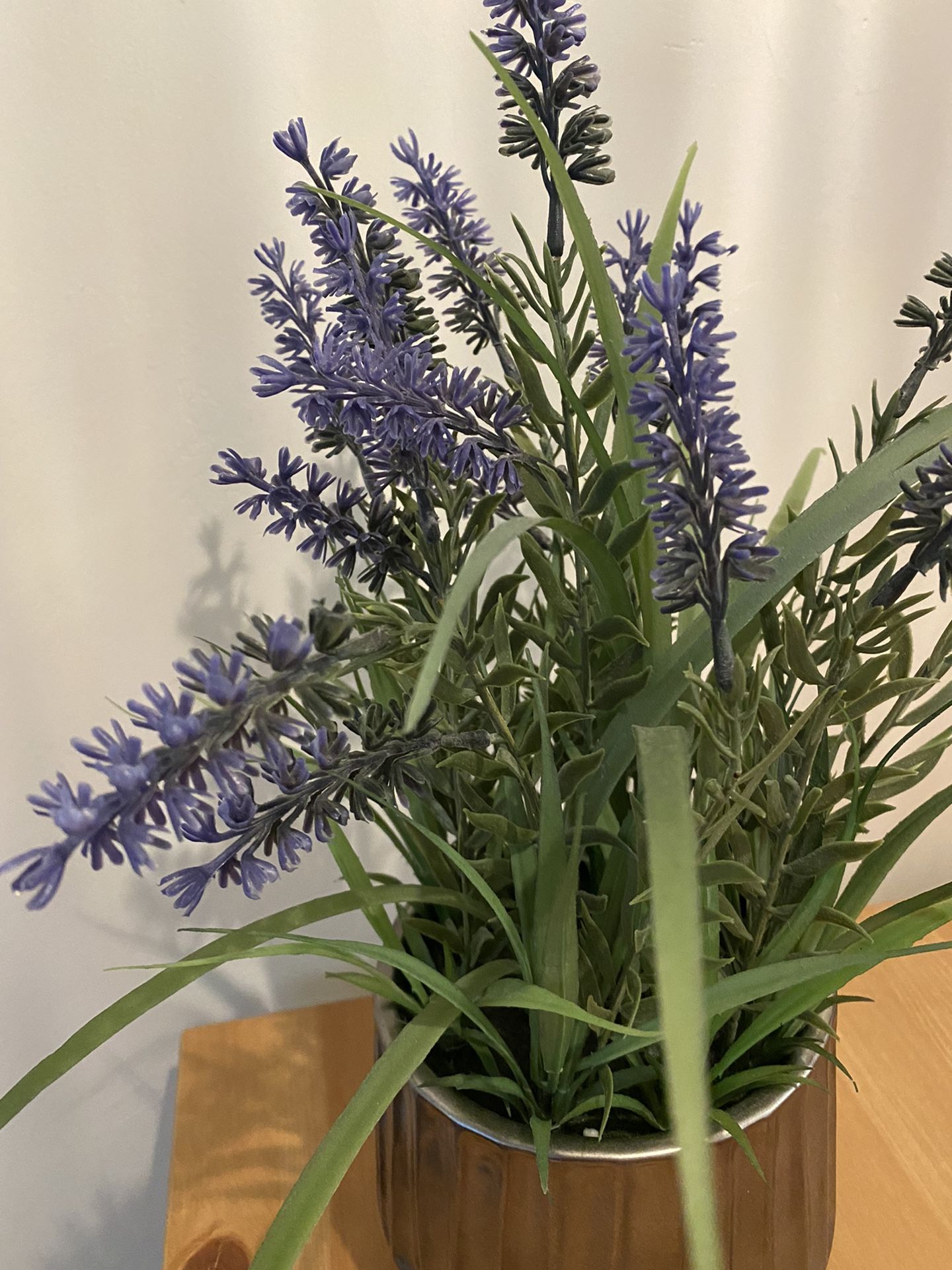 Fake Lavender Plant