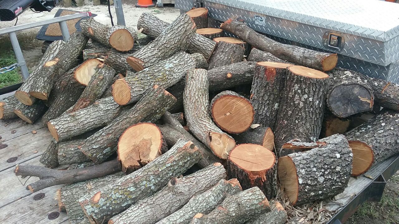 Need Firewood I Have Oak Mesquite And Pecan Wood Will Fix You Whatever Amount You Want For Sale In San Antonio Tx Offerup