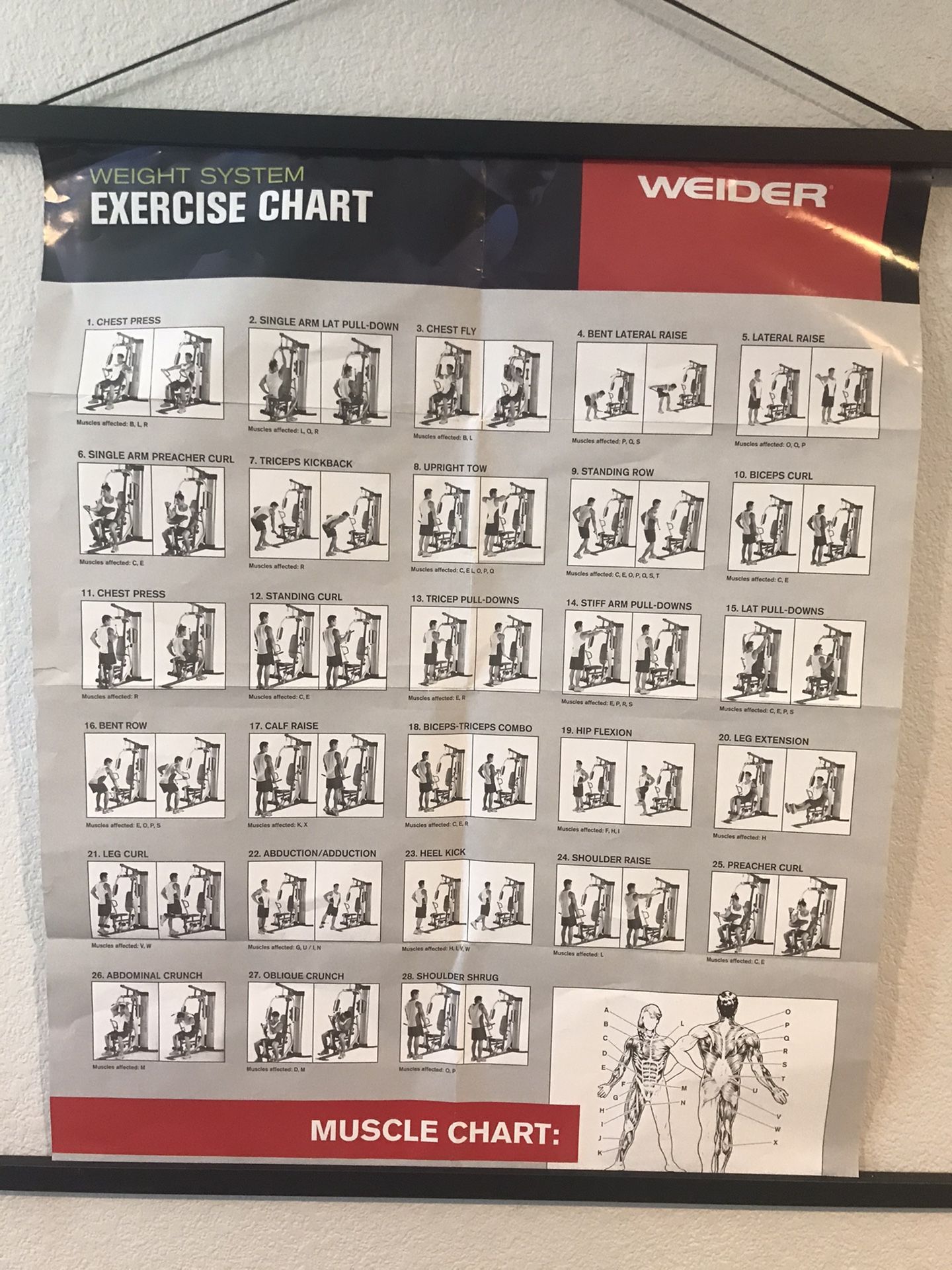 Weider Pro 6900 Home Gym System with 6 Workout Stations and