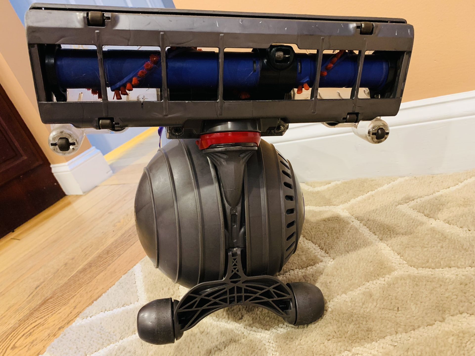 Dyson DC 65 animal vacuum cleaner