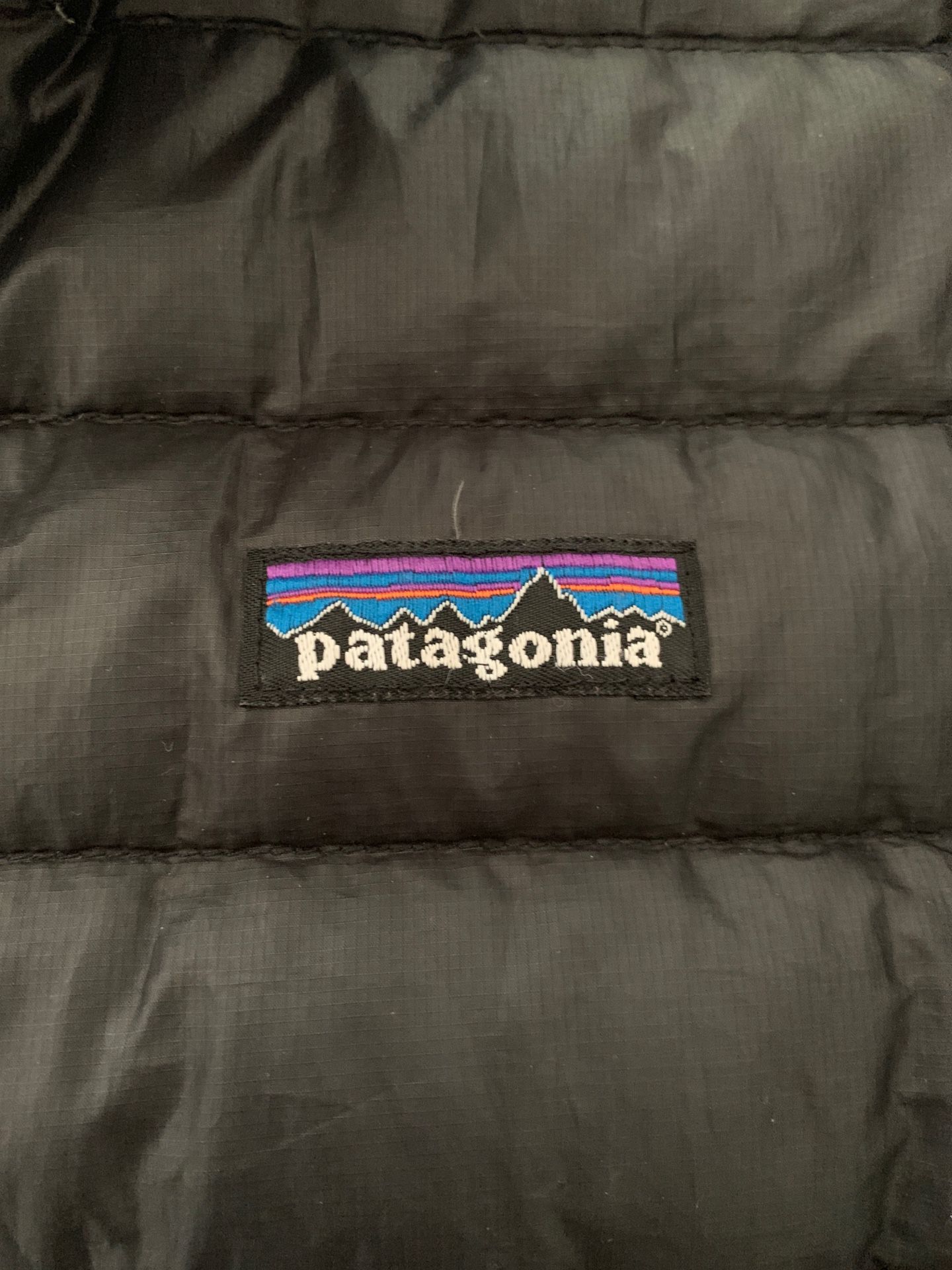 Patagonia down winter jacket (Large)