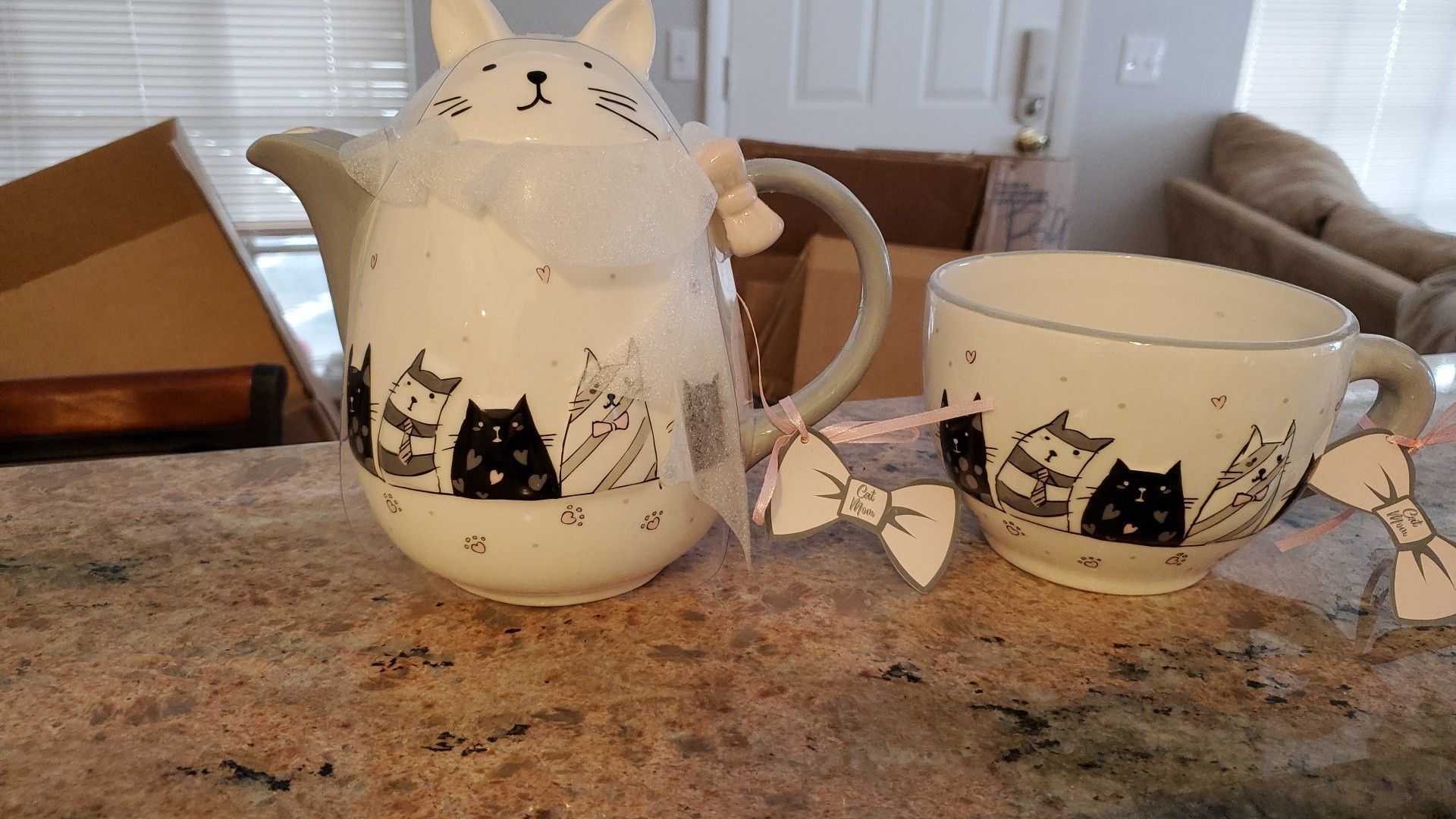 Cat Mom Tea Kettle & Mug set