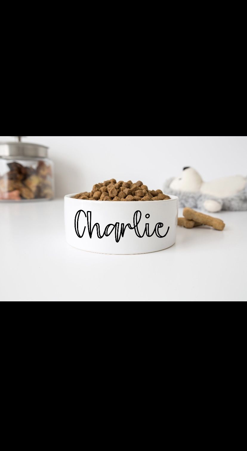 Personalized Dog/Cat Bowls With Name 6” Or 7”
