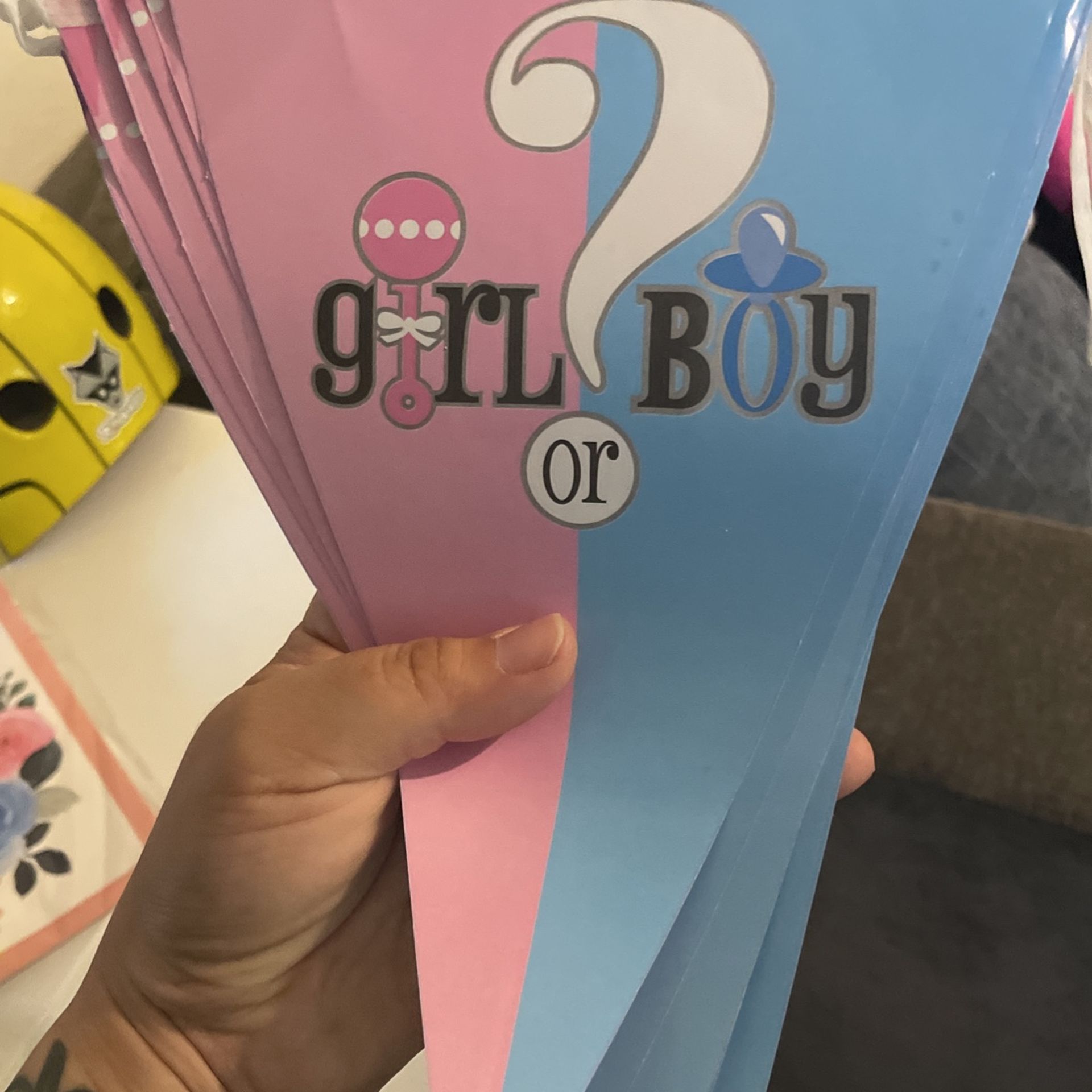 Gender Reveal Party Set