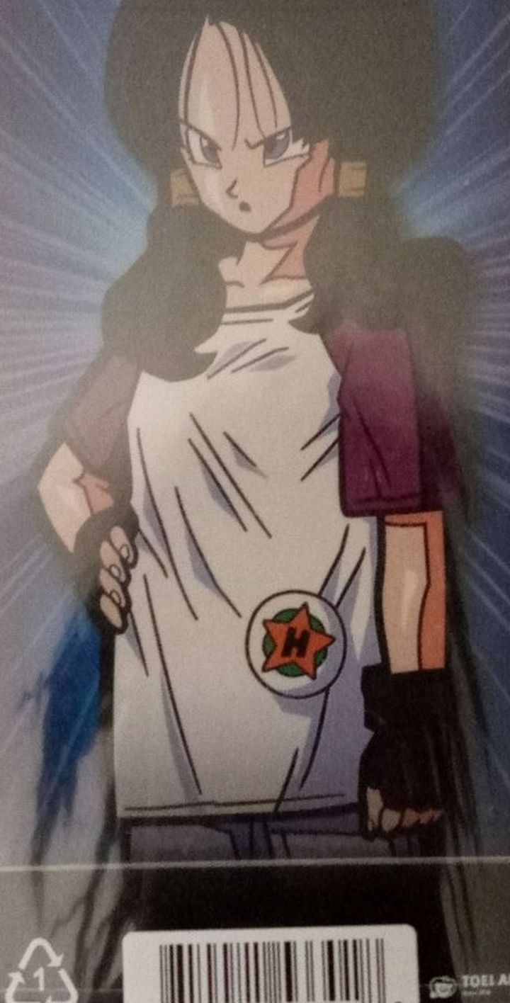 Videl Figpin