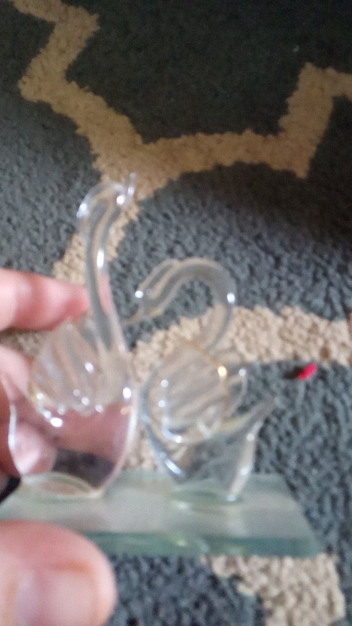 Glass swan