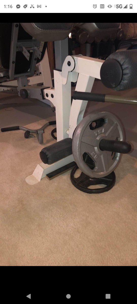 POWERHOUSE WEIGHT BENCH WITH 300 LB OLYMPIC WEIGHT SET ( LIKE NEW & DELIVERY AVAILABLE TODAY)