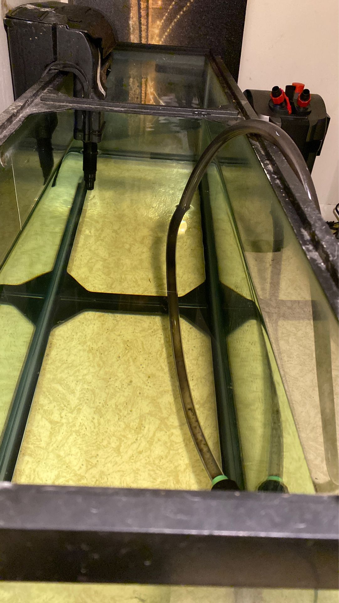 55 gallon tank with filter and accessories