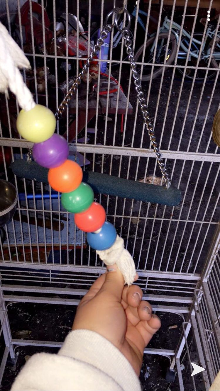 Huge nice bird cage with toys and food bowls we got the cage brand new for 500 hundred
