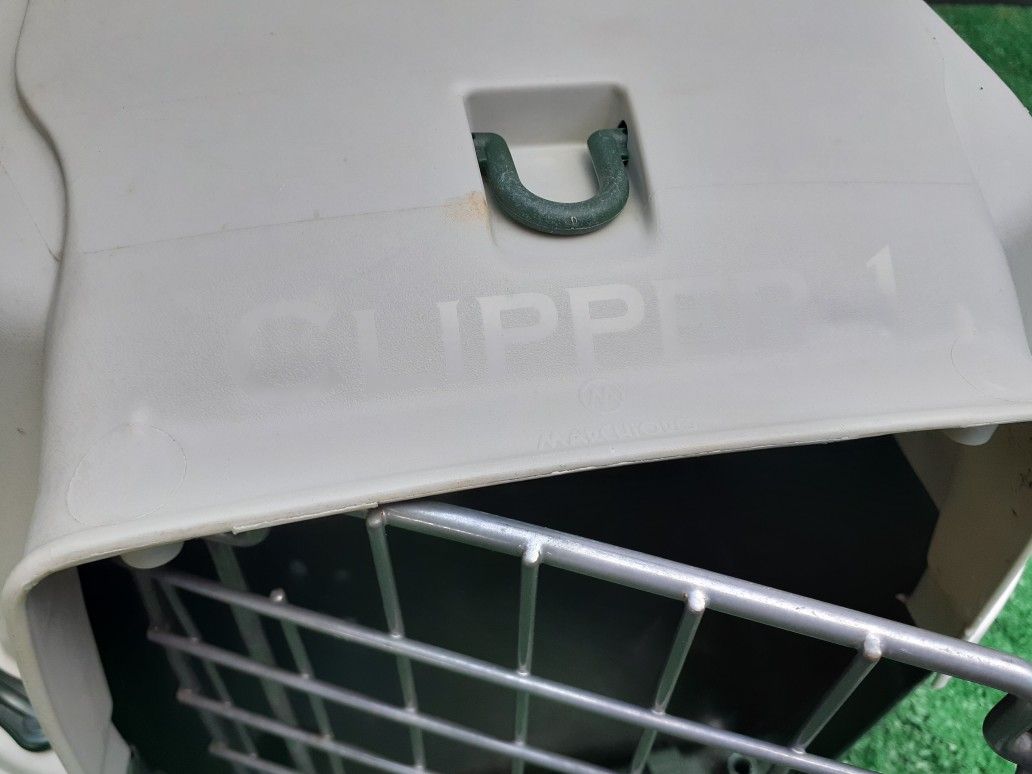 Pet Carrying case