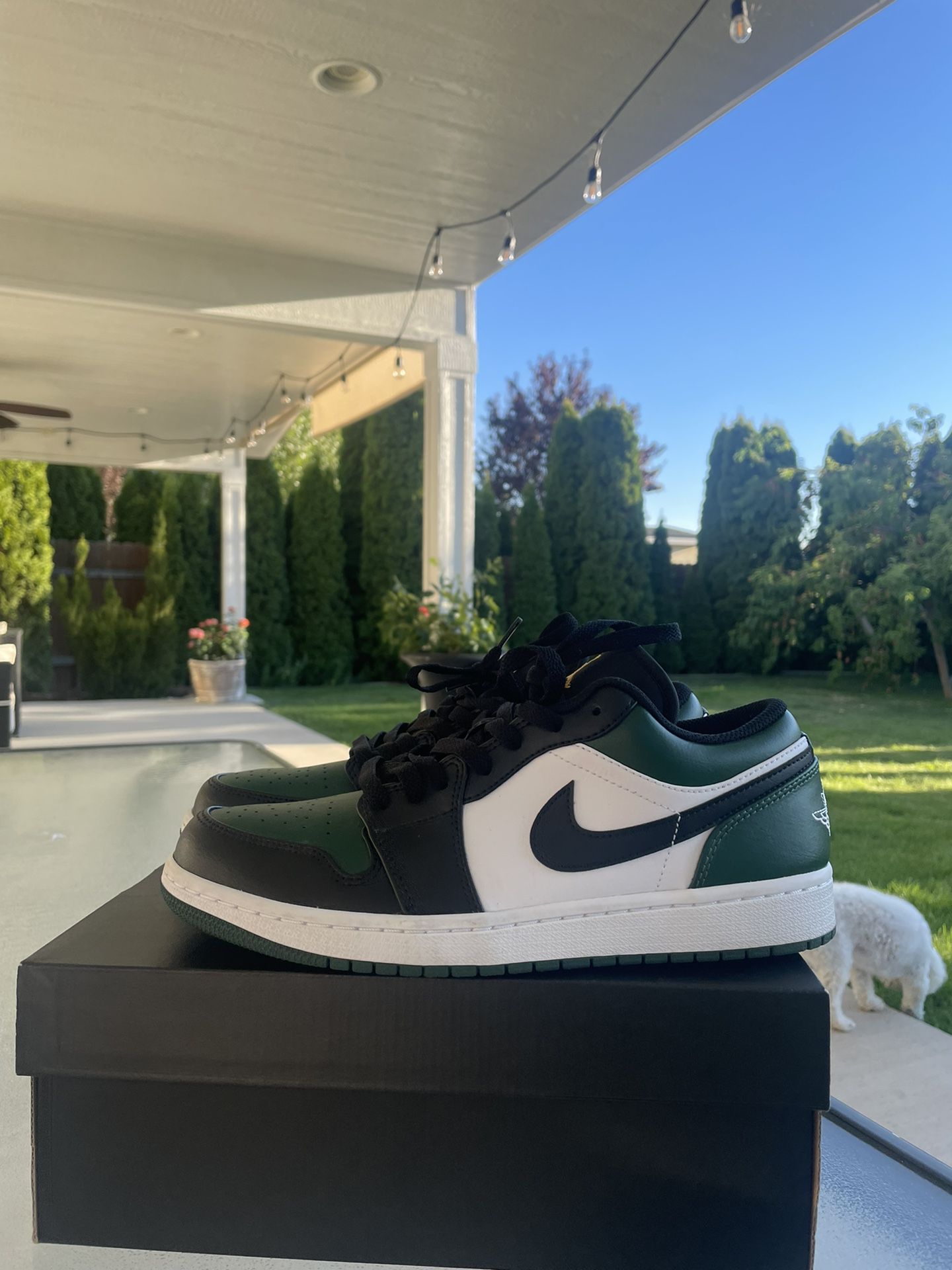 Air Jordan 1 Green Toes 