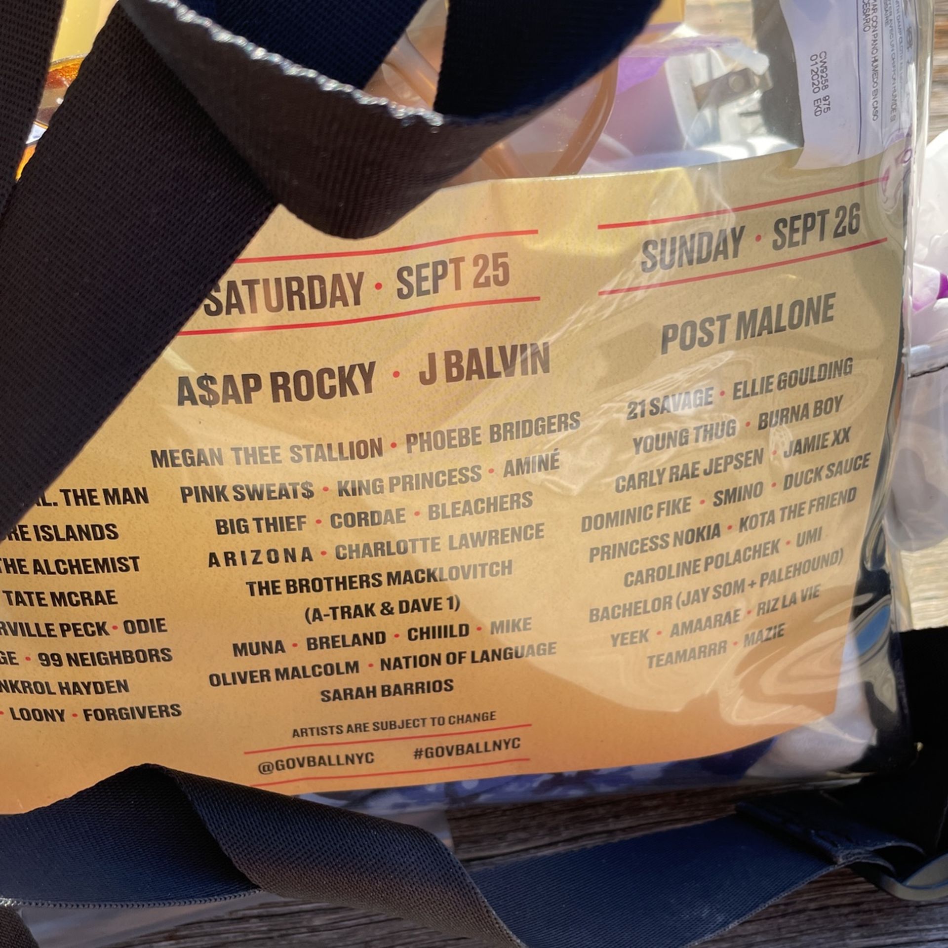 Today And Tomorrow Pass To Gov Ball
