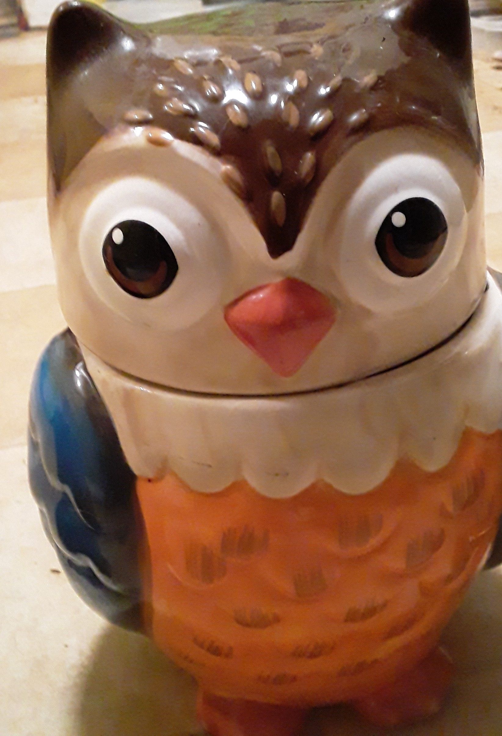 Owl kitchen decor