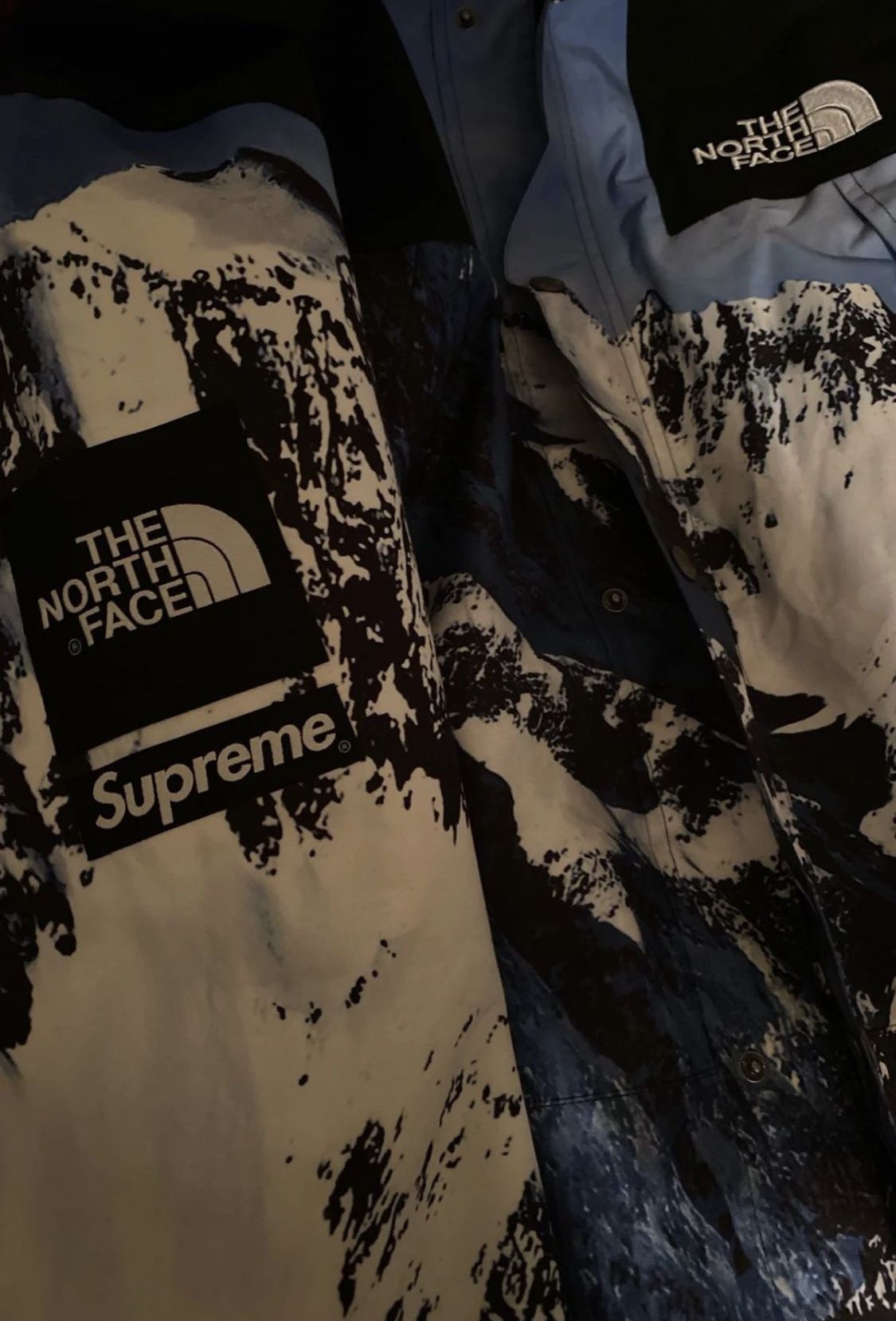 Supreme: North Face Parka