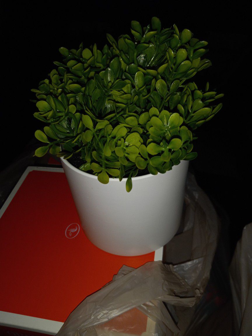 Brand New Artificial  Greenery Plant Great For A Tray Table Etc