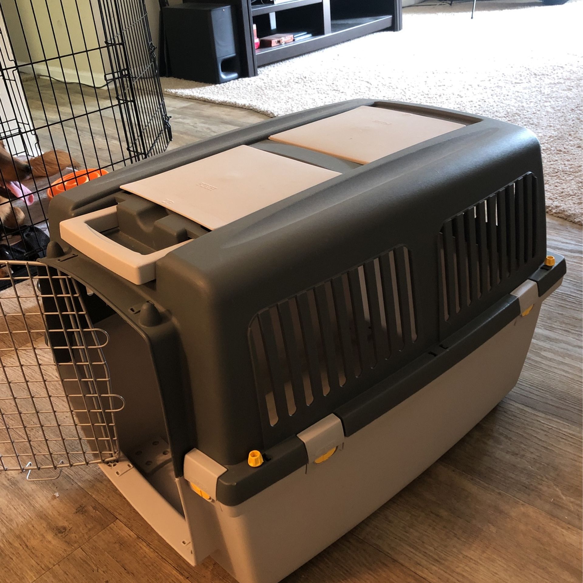 Large Puppy Travel Crate