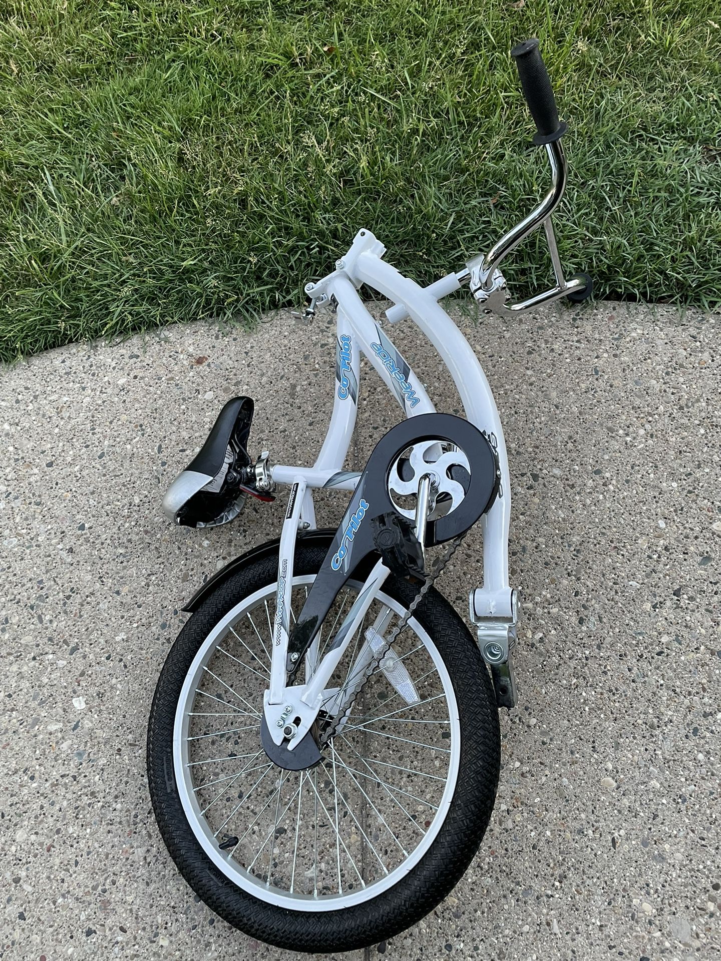 Foldable Tag Along Bike Trailer