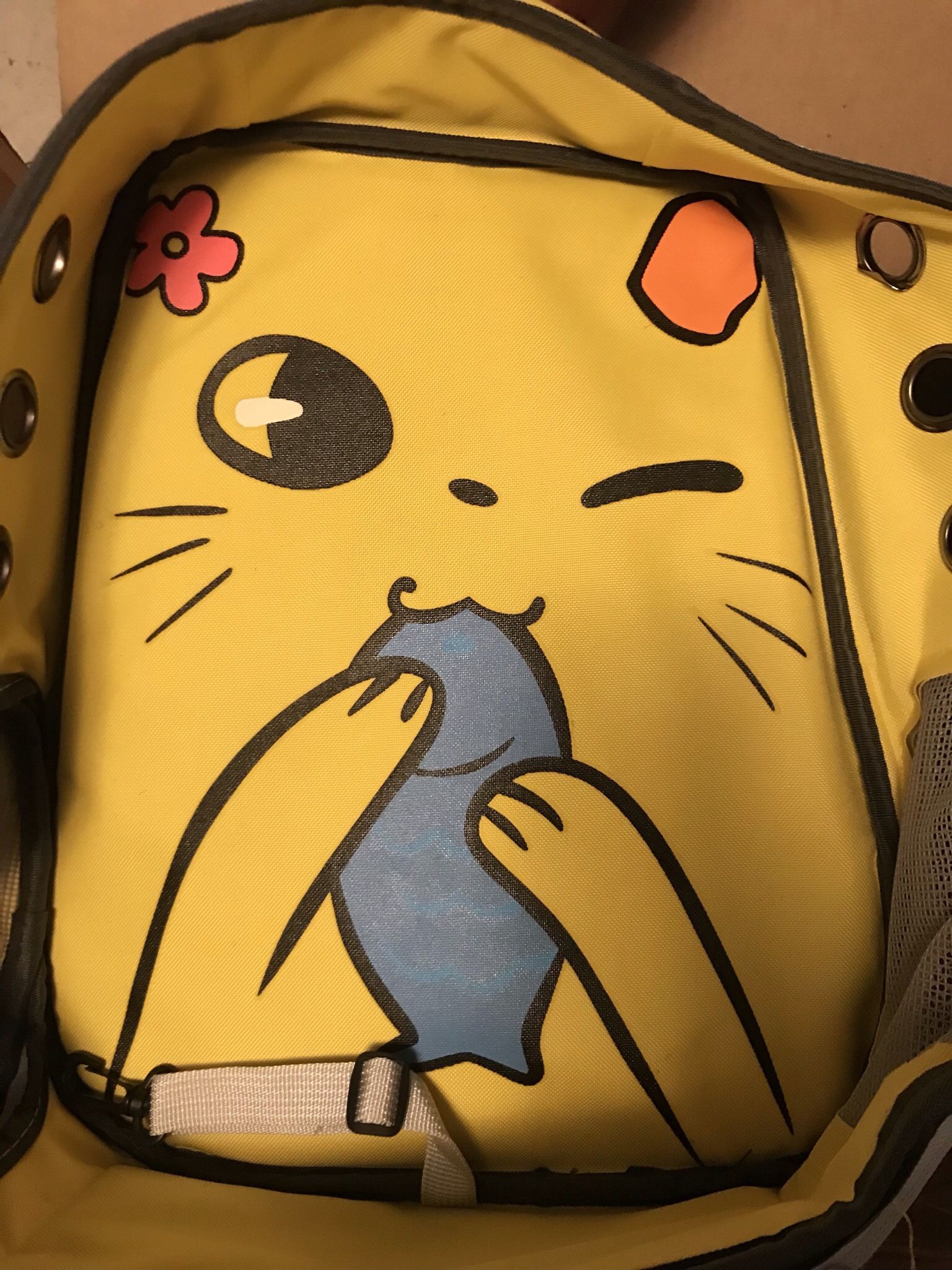 Cat & Small Dog Carriers Backpack