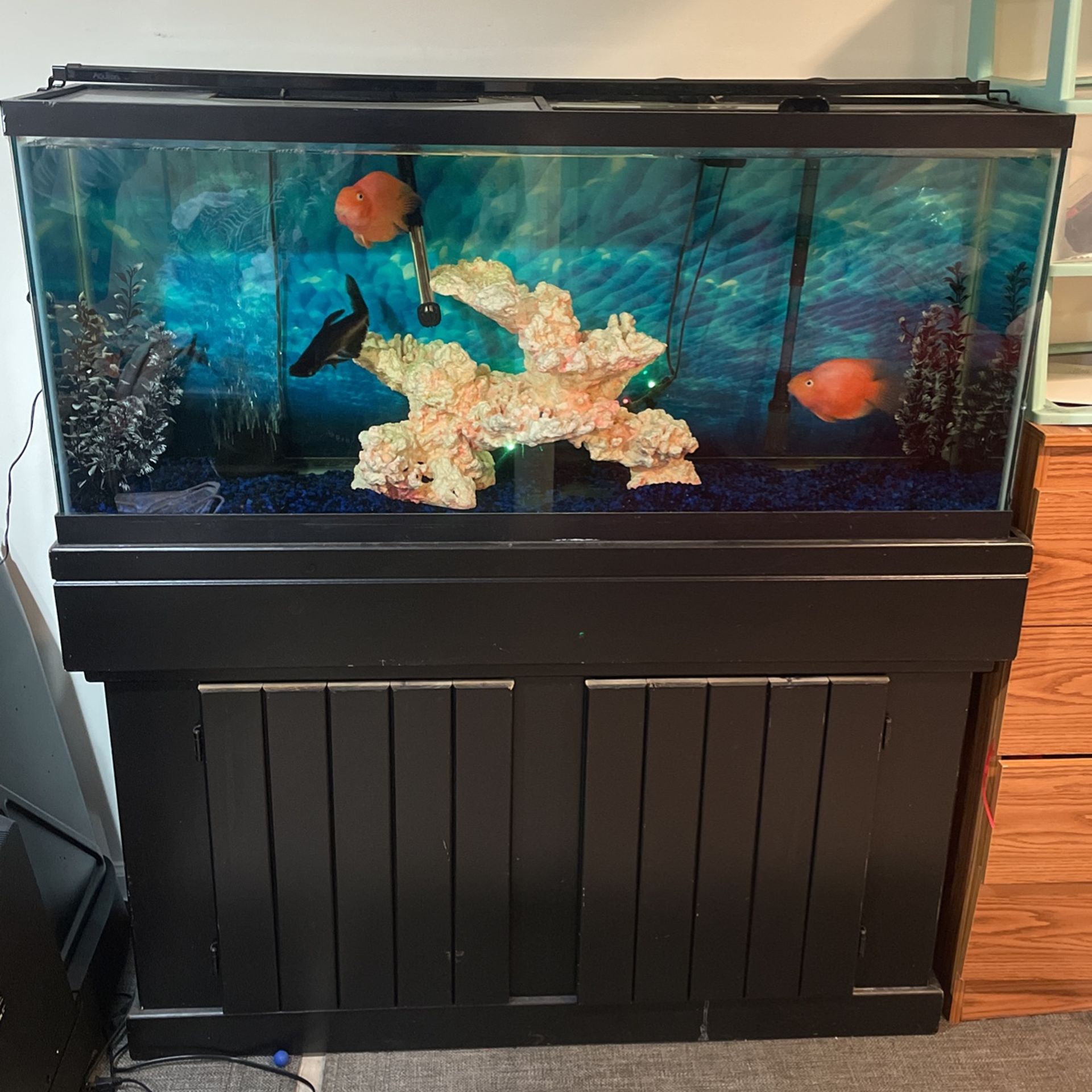 65in Tank And Stand