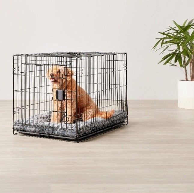 Amazon Basics Foldable Metal Wire Dog Crate with Tray 24 Inches, Double Door Styles