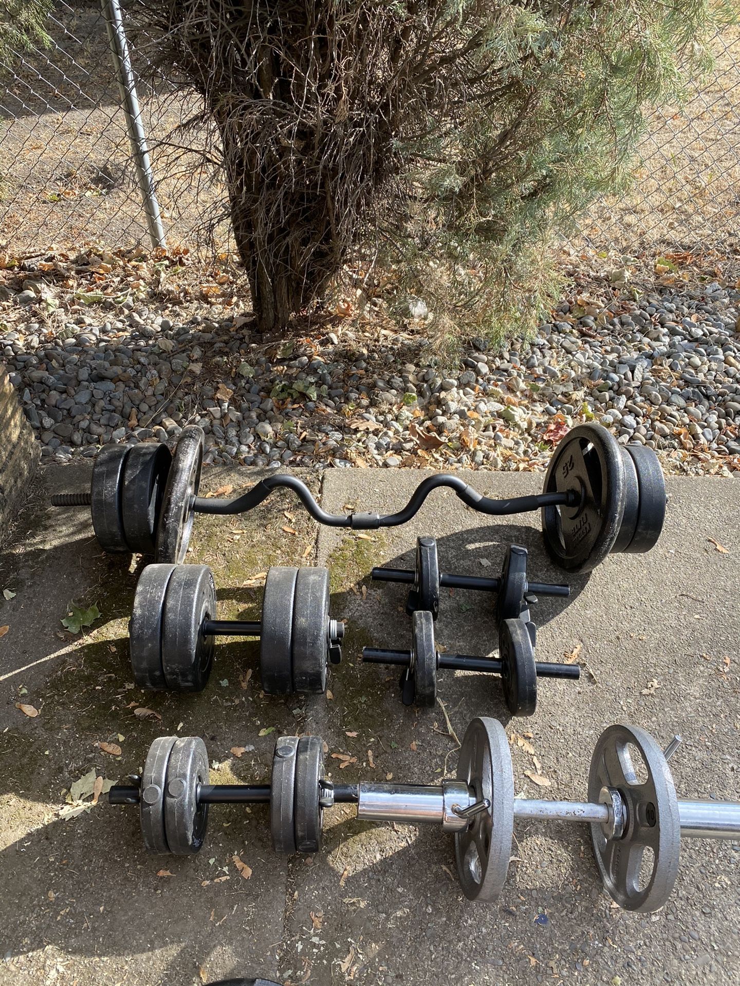 Olympic Weights & Workout Equipment