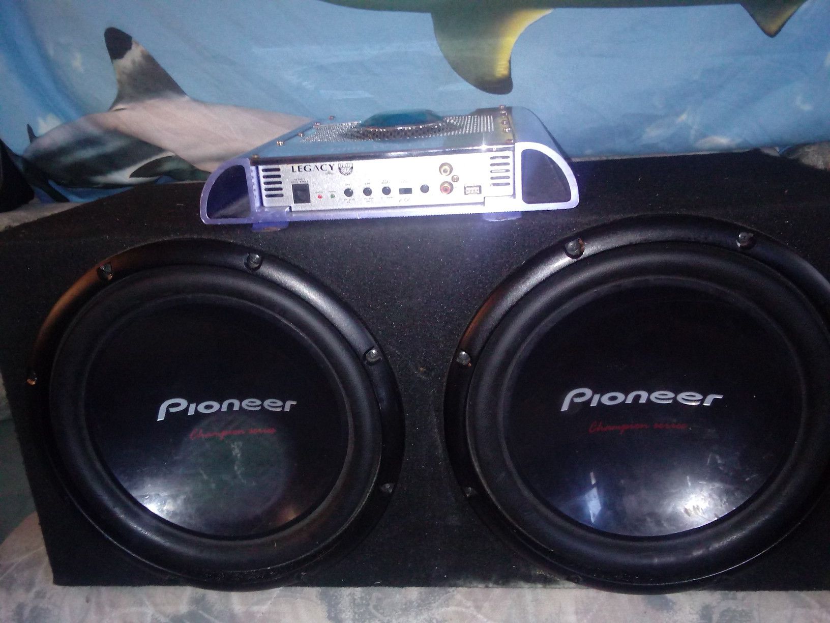 Pioneer champion series size 12 with amp