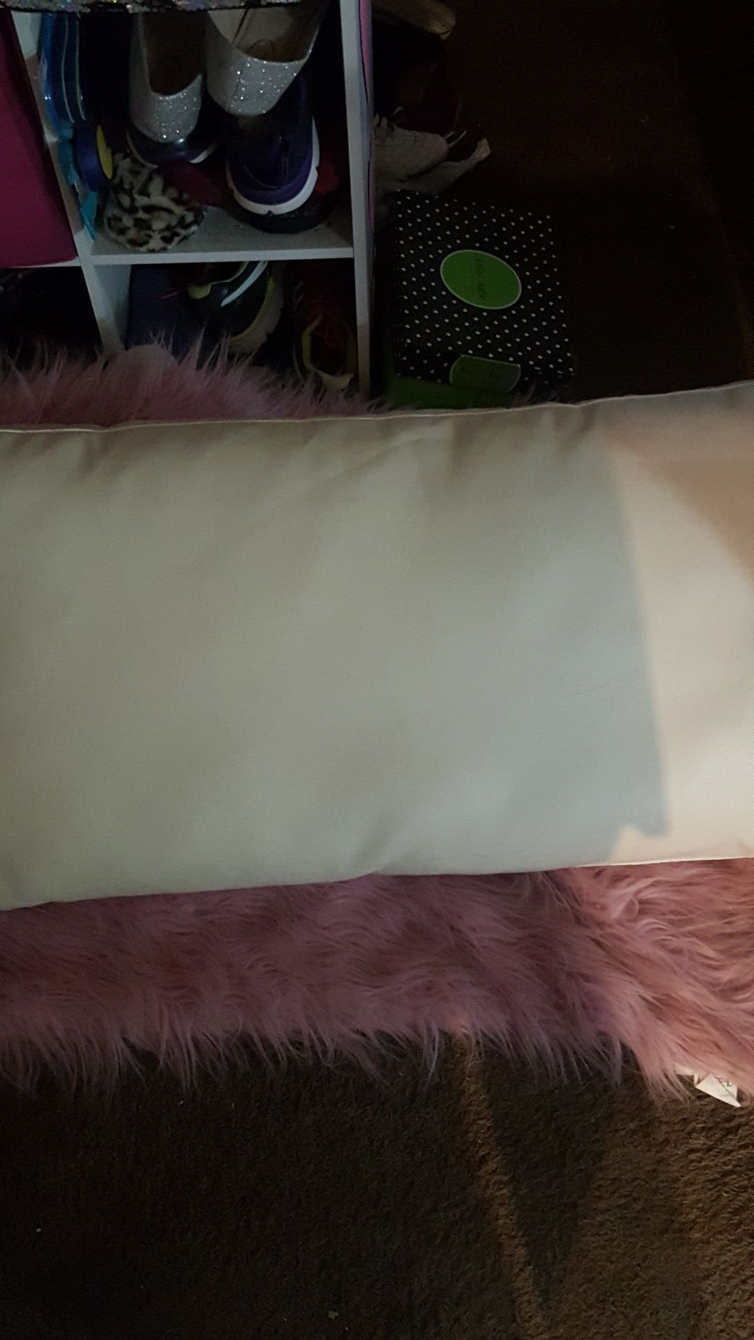 DONATED GONE TOMORROW SALVATION ARMY TRUCK COMING LAST DAY YOU TELL ME PRICE OR ITS DONATED 2 LARGE GENUINE LEATHER PILLOWS 40 this weekend only