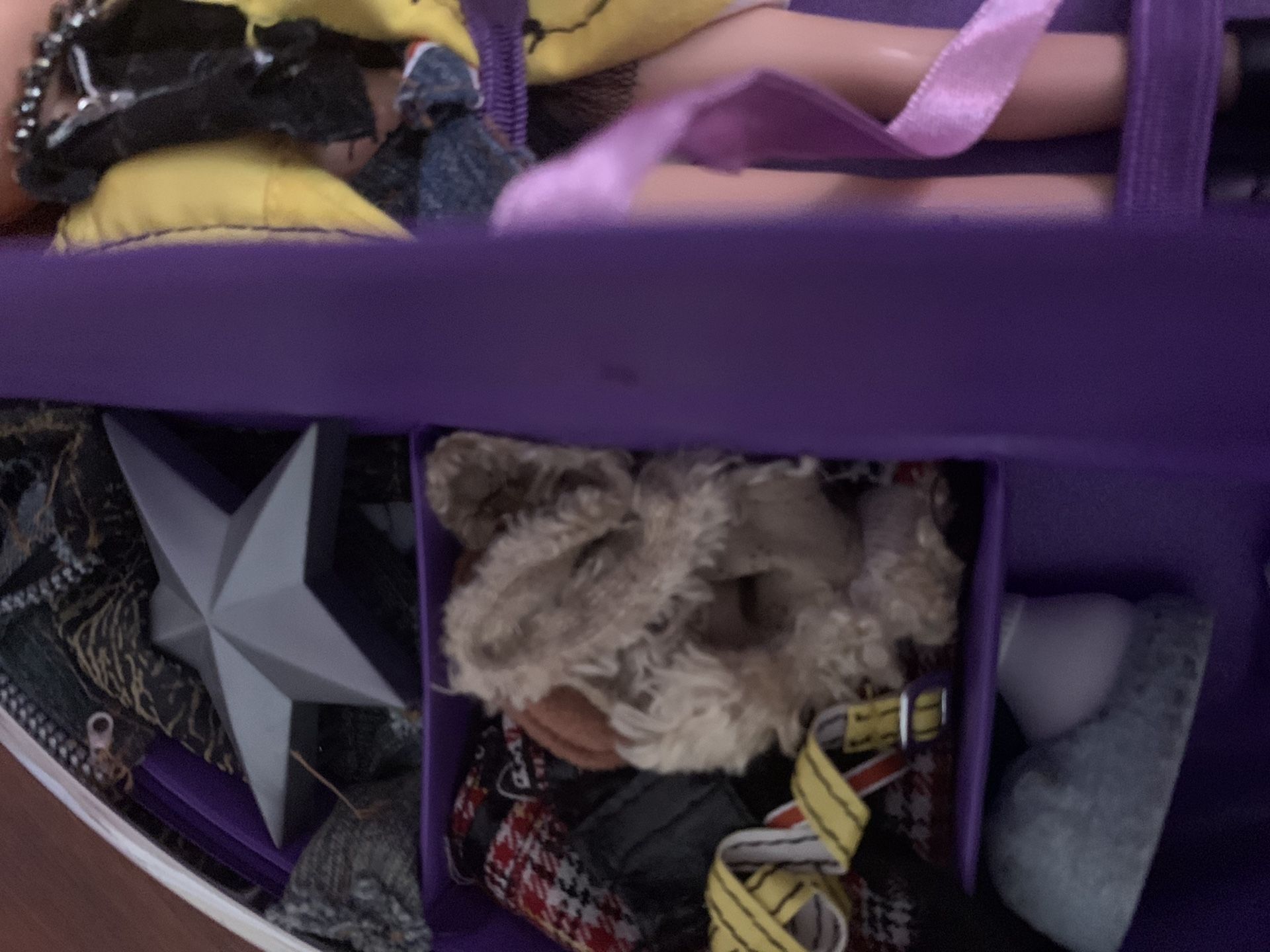 Bratz dolls with case and over 100 dollars in accessories