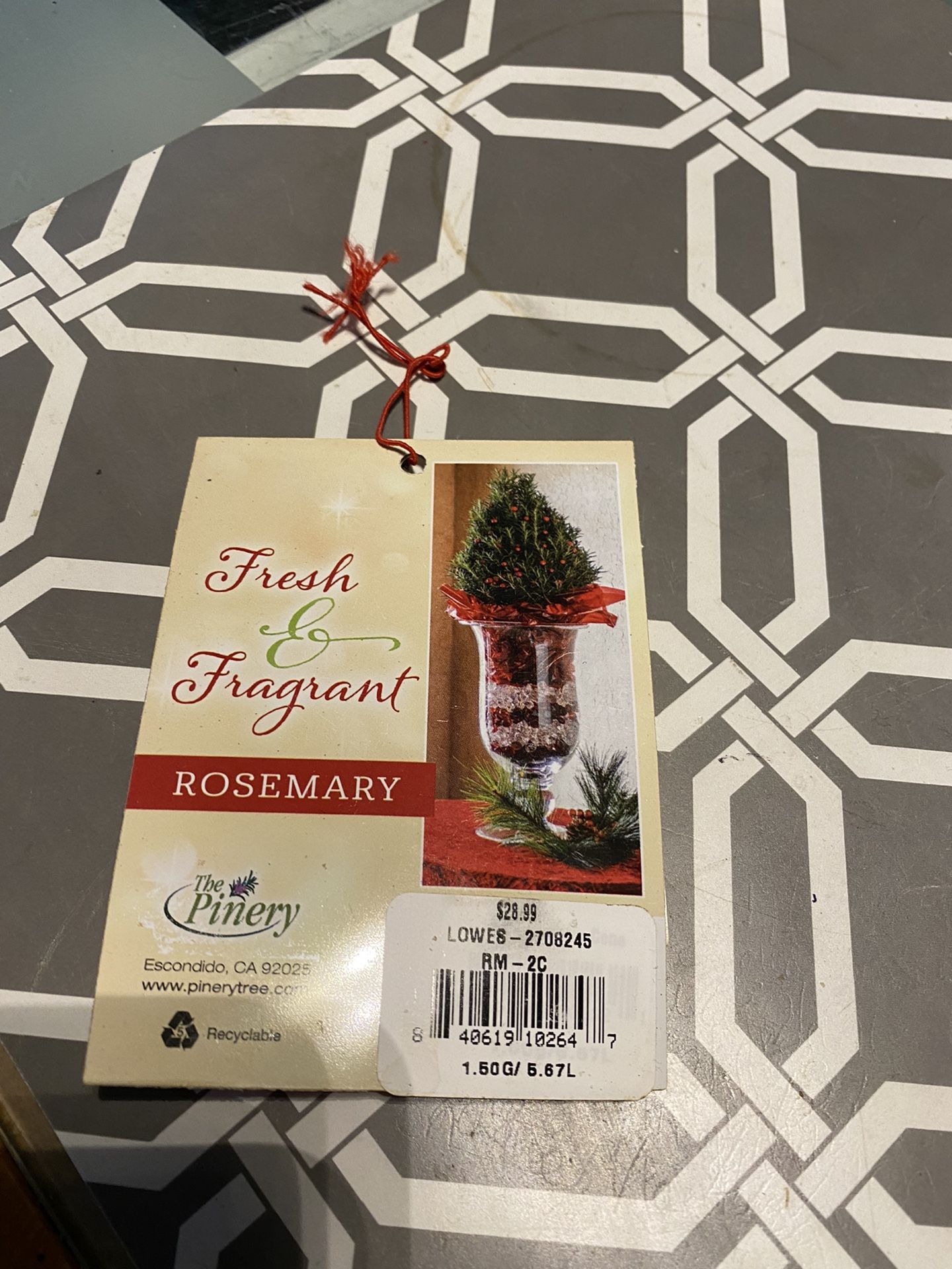 Fragrant Plant